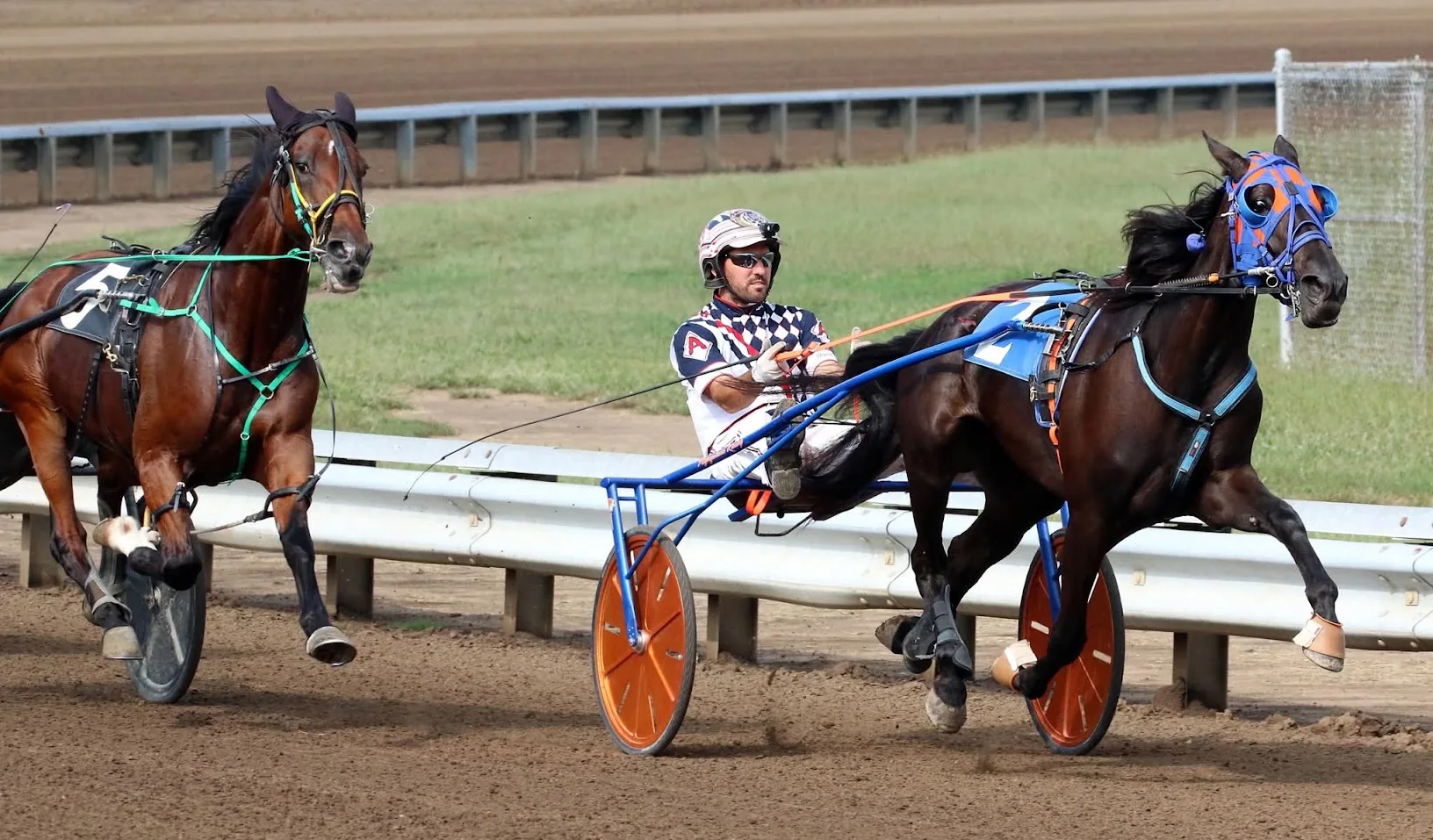 Unhynged Adieu racing on the track with her driver